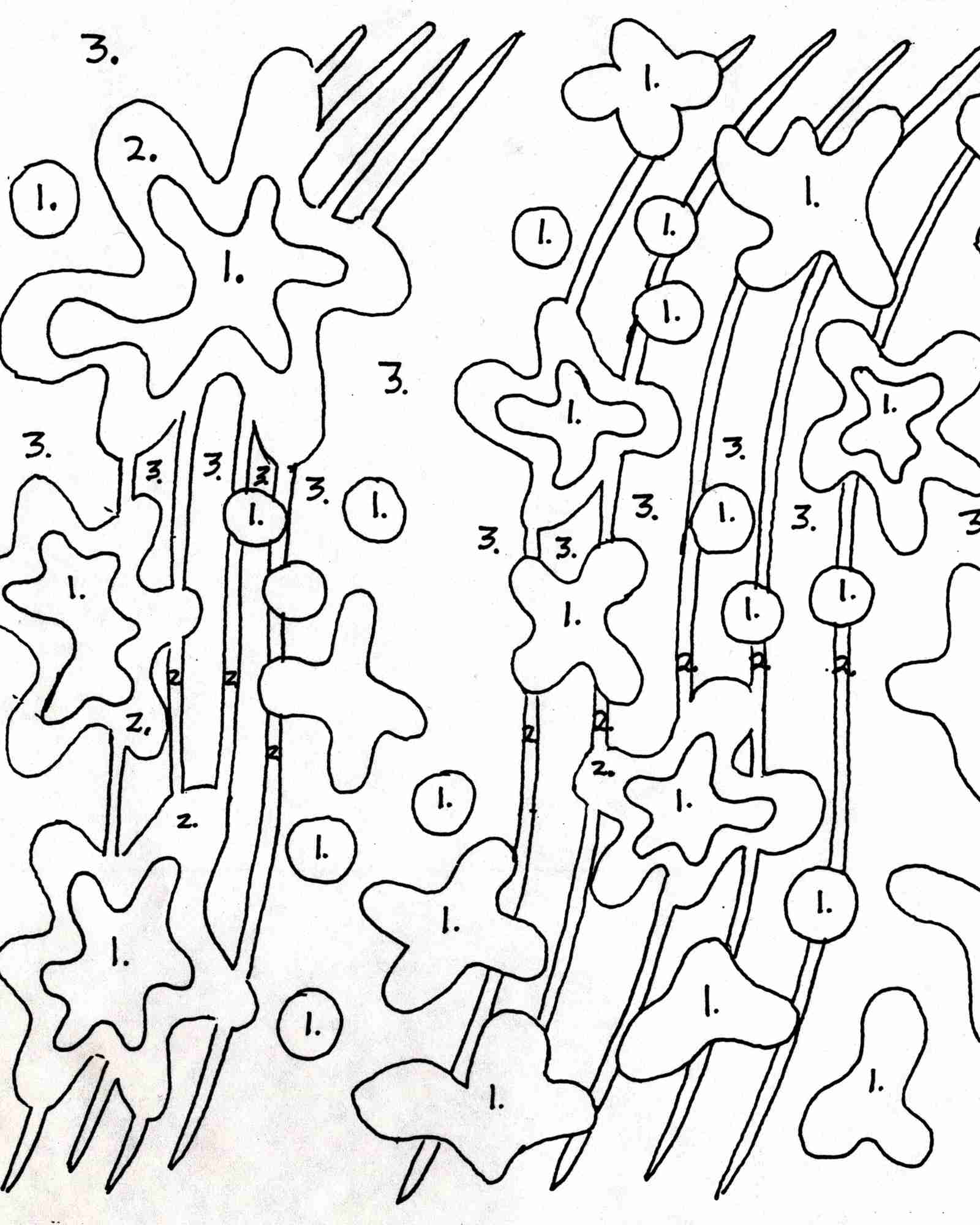 Graal glass drawings by Howard Burr